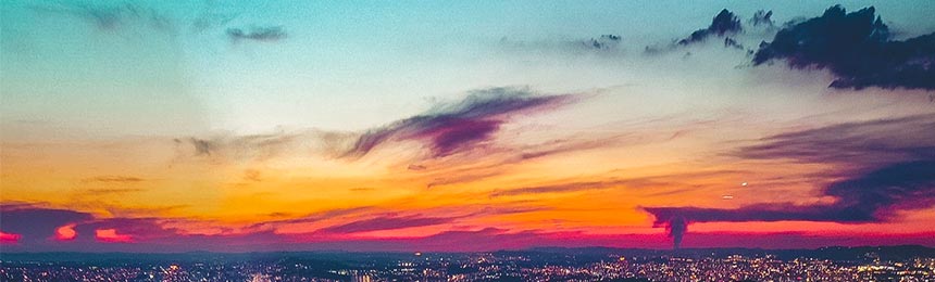 丹东茶虫网_丹东品茶